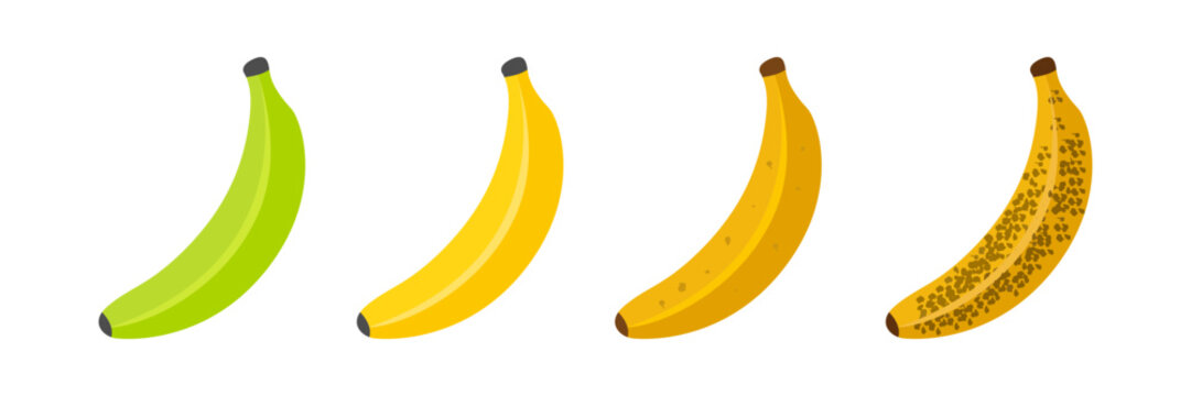 Banana ripeness. Stages of growth and ripening of banana fruit. Selection of ripe banana.