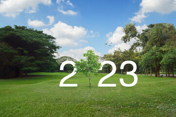 2023 white text with growing tree on green grass and trees in public park, Happy new year 2023...