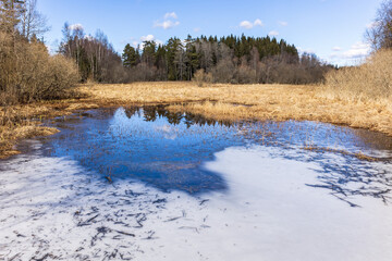Ice by a bog at springtime
