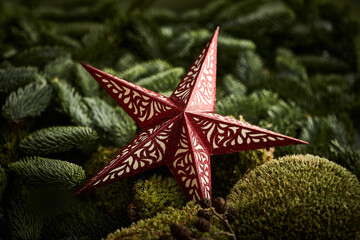 Red paper Christmas star on green pine and moss