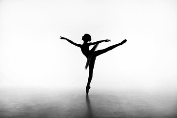 Young beautiful ballerina in a blacklight. Silhouette in white background. Art, motion, action,...