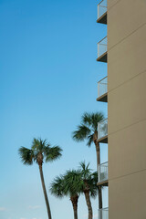 Fototapeta na wymiar Side of a building with white railings at the balconies with a view of palm trees at Destin, Florida