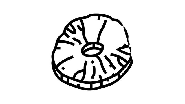 pineapple dried fruit line icon animation