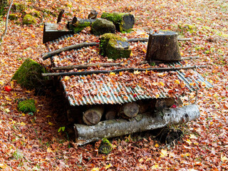 Fototapete bei efototapeten.de bestellen   