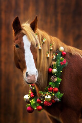 Horse with christmas decoration