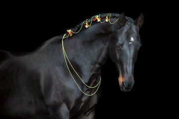 horse isolated on black