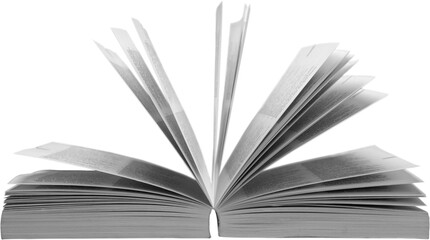 Open Book - Isolated