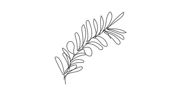 One Line Drawing Eucalyptus Leaf Twig Animation, Minimal One Line Drawing Palm Tree Leaf, Continuous Line Draw, Tropical Animated Illustration