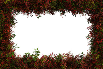 Green leaves and rowanberries border isolated on transparent background - 3D Illustration