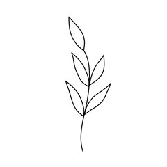 Cute twig with leaves isolated on white background. Vector hand-drawn illustration in doodle style. Perfect for cards, logo, decorations, various designs. Botanical clipart.