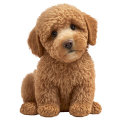 Adorable miniature goldendoodle dog