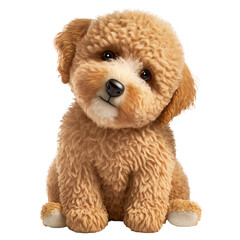 Adorable miniature goldendoodle dog
