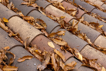 枯葉の積もった屋根