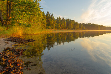 Fototapeta premium The shore of the lake illuminated by the setting sun. Beautiful nature. Natural background.