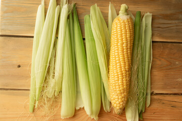 Ripe corn cob