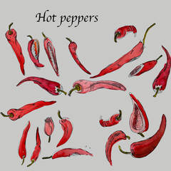 Hot peppers by watercolor