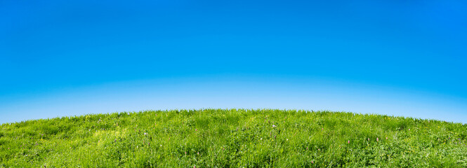 green grass field on a blue sky background
