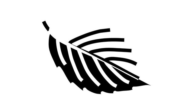 leaf blackberry plant glyph icon animation