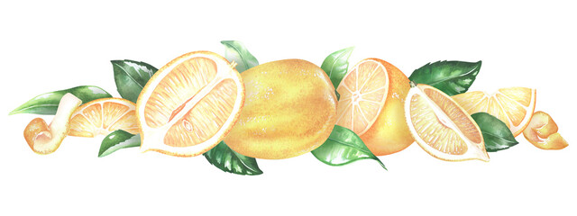 Yellow lemon with leaves elongated horizontal border. Whole citrus, zest, half, pieces. Watercolor illustration. Isolated on a white background.For design product packaging with citrus acid or scent