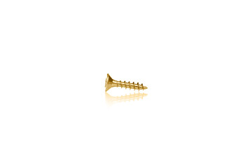 macro screw of golden color on a white background