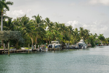 Fototapeta na wymiar Three boats on a dock with coconut trees at shore of the Miami bay in Florida