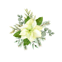 Watercolor christmas flowers arrangement. White poinsettia, branches of spruce and winter greenery for greeting cards and invitations.