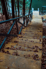part of autumn
natural landscape with a view of space;
wooden stairs in the middle of the forest to the lake