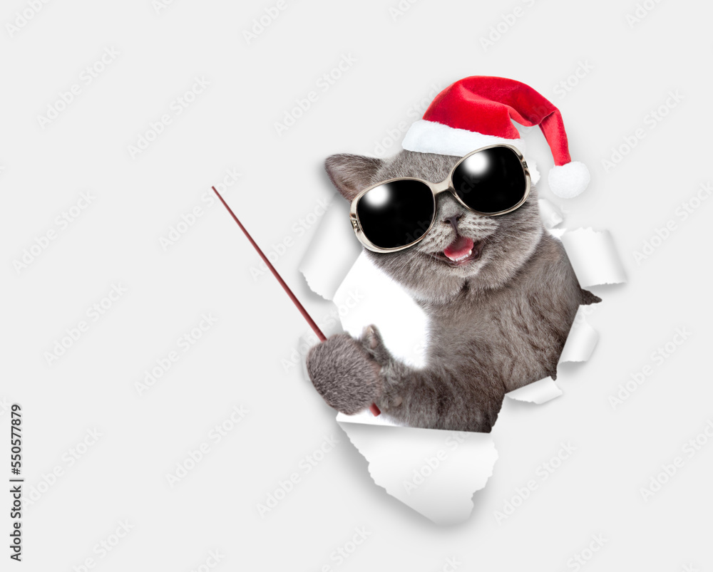 Poster happy kitten wearing red santa hat looking through the hole in yellow paper and pointing away on emp
