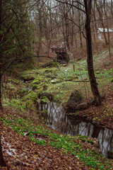 part of autumn
natural landscape with a view of space;
forest stream among stone boulders and grass cover