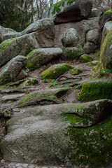 part of autumn
natural landscape with a view of space;
large stone boulders in green moss