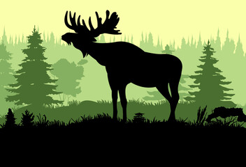 Elk with big antlers male. Silhouette picture. Glade in coniferous forest. Animals in wild. Vector.
