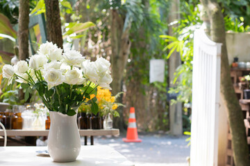 Fototapeta premium White rose