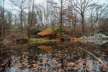 part of autumn
natural landscape with a view of space;
large stone boulders on the shore of an autumn forest lake