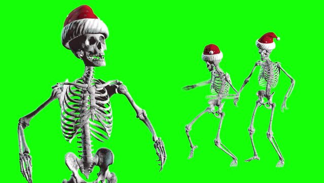 Dancing skeletons in santa hats isolated on green screen. Christmas horror party.
