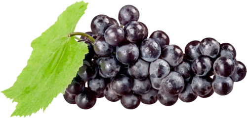 Red Grape Cluster With Leaf - Isolated
