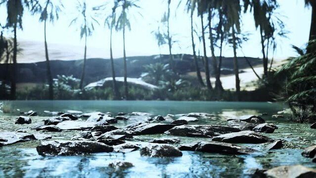 Desert oasis pond with palm trees and plants