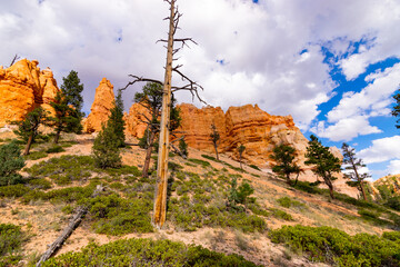 Bryce Canyon
