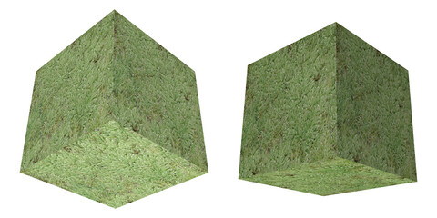 three dimensional moss cube,isolated texture,rendering 3D