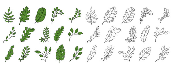 Leaves vector sketch set. Hand drawn decorative elements