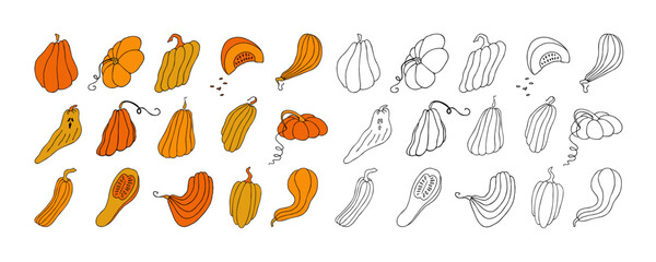 Autumn design template, hand drawn pumpkins, flat vector illustration