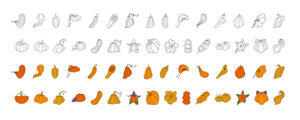 Autumn design template, hand drawn pumpkins, flat vector illustration