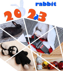 Collage with toy hares and rabbit, a symbol of new 2023