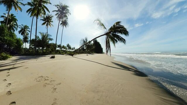 Sandy beach with palm trees and sea surf with waves. Pasir Putih Beach. Sumatra, Indonesia.