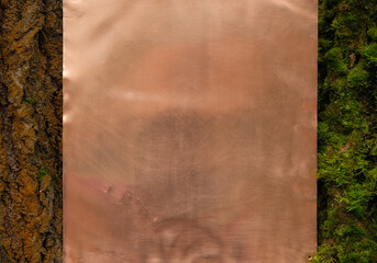 Blurred copper sheet on the old tree background. At rained. Copy space.