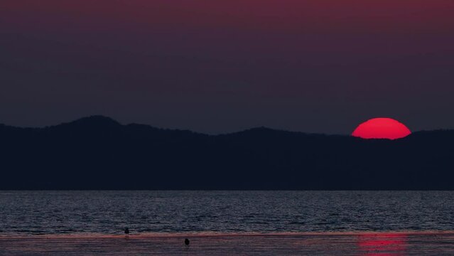 Beautiful twilight with the red sun setting on the seashore, seagulls flying over the seashore, and year-end sunset scenery

