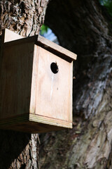 a bee hotel, Insect hotel on the tree 
