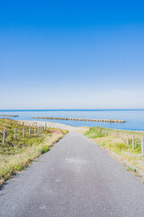 Fototapeta na wymiar 新潟　はまなすの丘から見た日本海