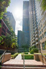 Sun behind the high-rise buildings with bushes and trees near the walkway in the middle at Miami, FL