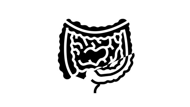 gastrocolic reflex line icon animation