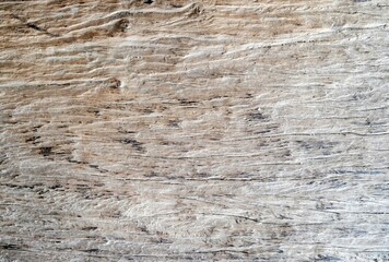 Naklejka premium Wood texture background. Grunge wood